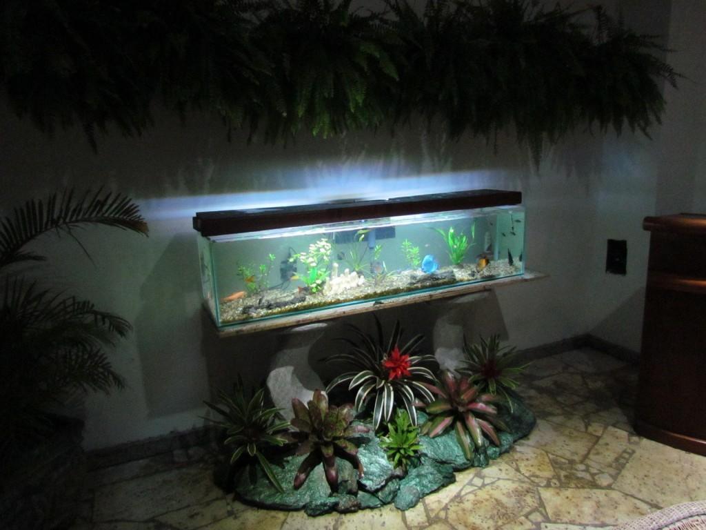 Belafonte Riocentro